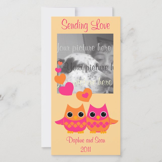 Cartes Pour Fêtes Annuelles Chouettes d'amour douces (Devant)