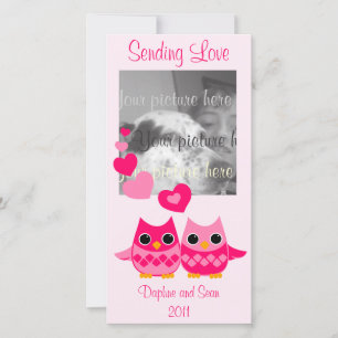 Cartes Pour Fêtes Annuelles Chouettes d'amour douces