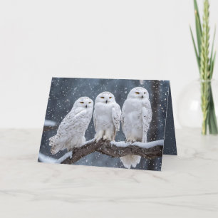 Cartes Pour Fêtes Annuelles Chouettes neigeuses de Noël