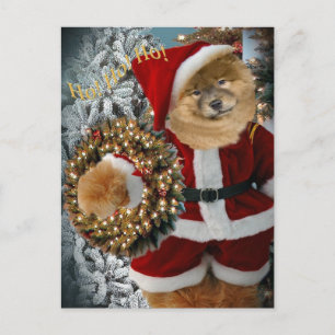 Cartes Pour Fêtes Annuelles Chow Chow Père Noël Paws