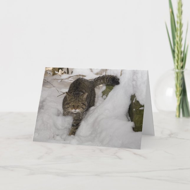 Cartes Pour Fêtes Annuelles Christmas (Devant)