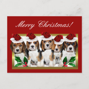 Cartes Pour Fêtes Annuelles Christmas Beagle puppies postcard