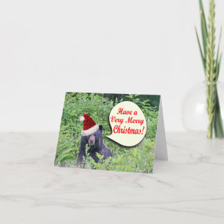 Cartes Pour Fêtes Annuelles Christmas Bear