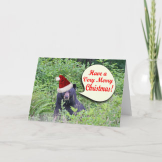 Cartes Pour Fêtes Annuelles Christmas Bear