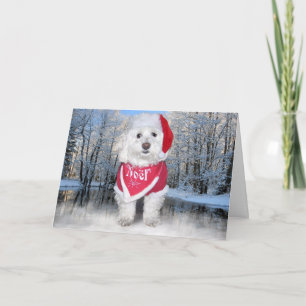 Cartes Pour Fêtes Annuelles Christmas Bichon Frise Dog