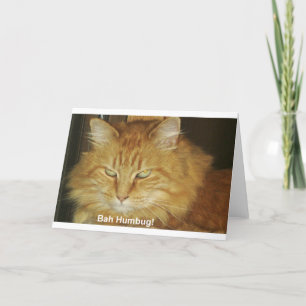 Cartes Pour Fêtes Annuelles Christmas Card: Bah Humbug