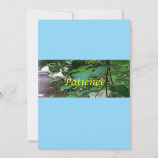 Cartes Pour Fêtes Annuelles Christmas card patience