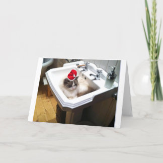 Cartes Pour Fêtes Annuelles Christmas Cat