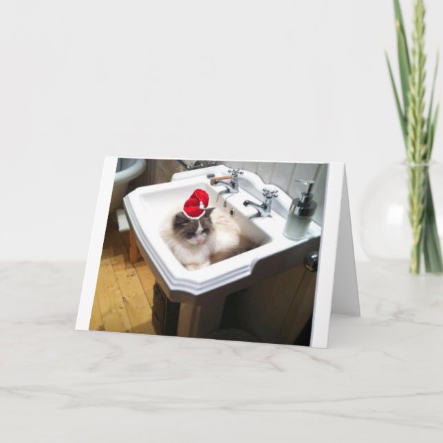 Cartes Pour Fêtes Annuelles Christmas Cat (Devant)