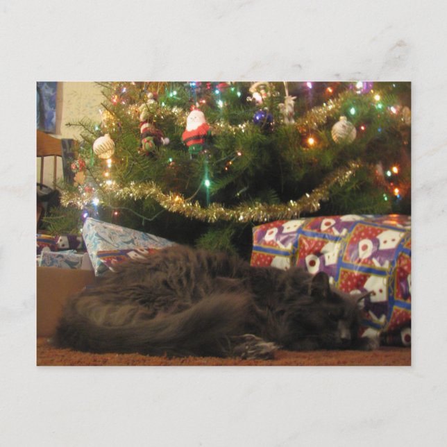 Cartes Pour Fêtes Annuelles Christmas Cat (Devant)
