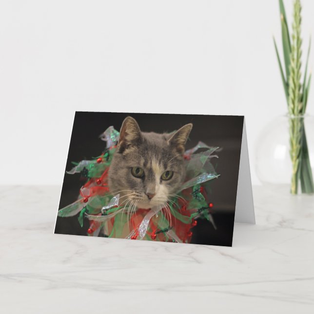 Cartes Pour Fêtes Annuelles Christmas Cat (Devant)