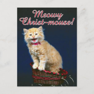 Cartes Pour Fêtes Annuelles Christmas Cat