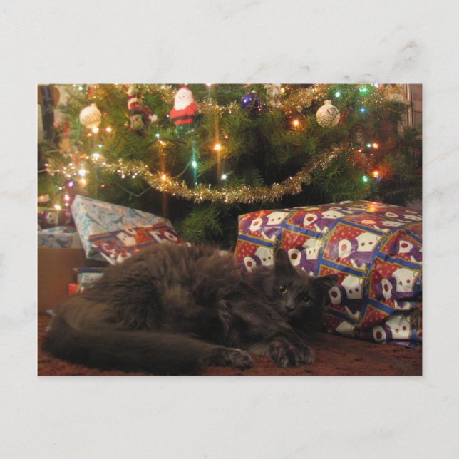 Cartes Pour Fêtes Annuelles Christmas Cat (Devant)