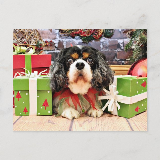 Cartes Pour Fêtes Annuelles Christmas - Cavalier King Charles Spaniel - Rose (Devant)