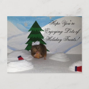 Cartes Pour Fêtes Annuelles Christmas Cookies!