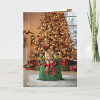 Cartes Pour Fêtes Annuelles Christmas Decorative Card