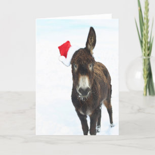 Cartes Pour Fêtes Annuelles Christmas Donkey