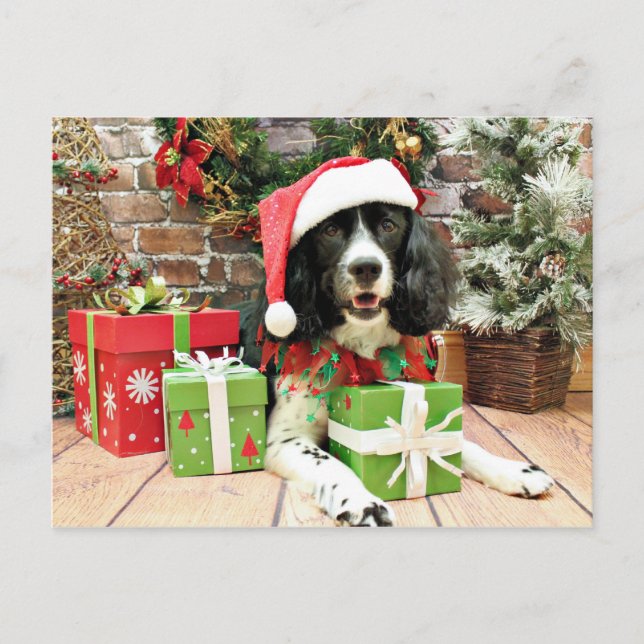 Cartes Pour Fêtes Annuelles Christmas - English Springer Espagne - Lucy (Devant)
