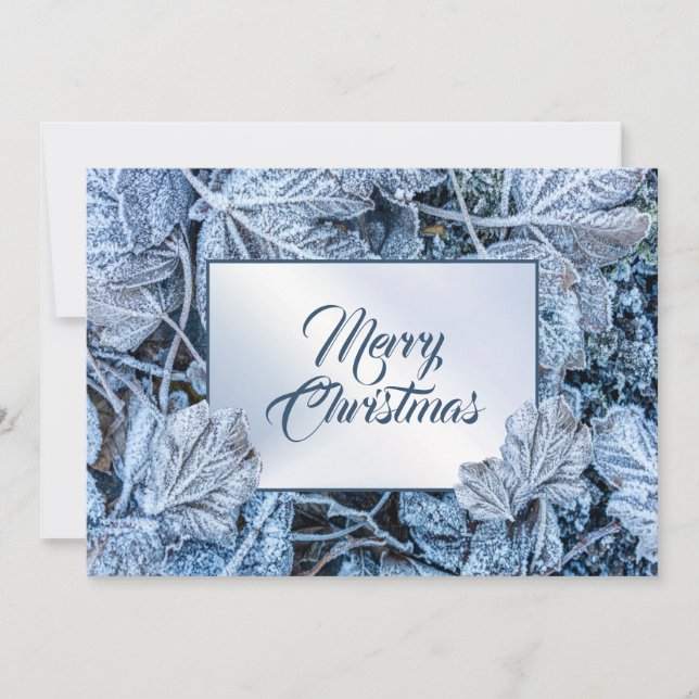 Cartes Pour Fêtes Annuelles Christmas Greeting Blue Leaves Snow Winter (Devant)