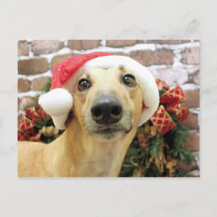 Cartes Pour Fêtes Annuelles Christmas - Greyhound - Pena