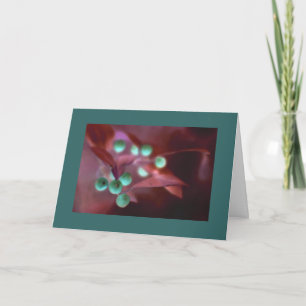 Cartes Pour Fêtes Annuelles Christmas Holly