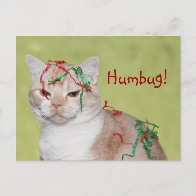Cartes Pour Fêtes Annuelles Christmas Humbug (Devant)