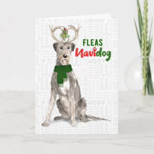 Cartes Pour Fêtes Annuelles Christmas Irish Wolfhound Dog Fleas NaviDOG