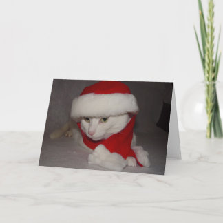 Cartes Pour Fêtes Annuelles Christmas Kitty