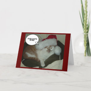 Cartes Pour Fêtes Annuelles Christmas Kitty Cat Tabby