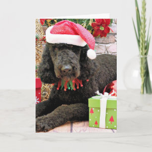 Cartes Pour Fêtes Annuelles Christmas - LabraDoodle - Miller