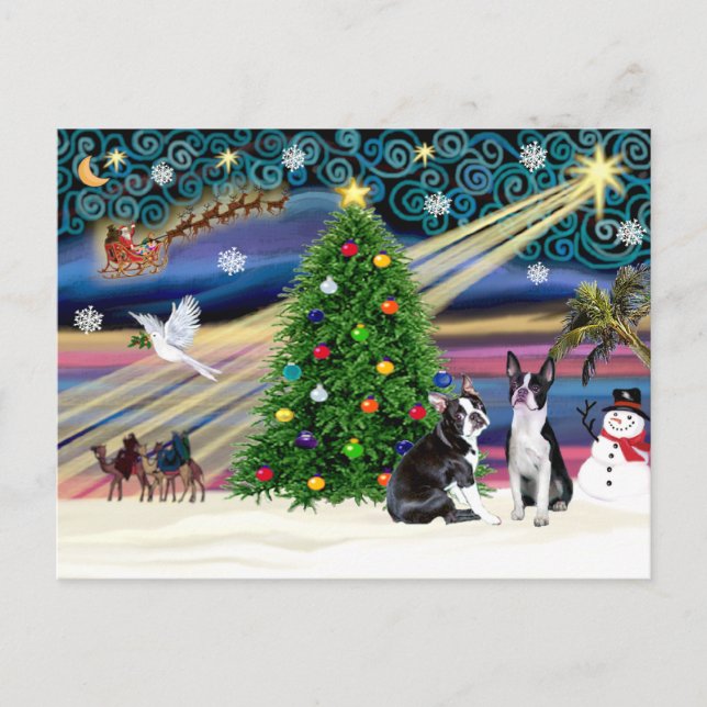 Cartes Pour Fêtes Annuelles Christmas Magic-Boston Terrier (2) (Devant)