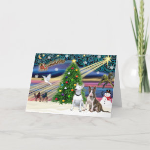 Cartes Pour Fêtes Annuelles Christmas Magic Bull Terriers