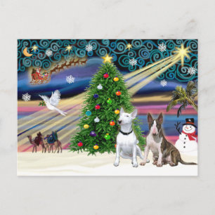 Cartes Pour Fêtes Annuelles Christmas Magic Bull Terriers