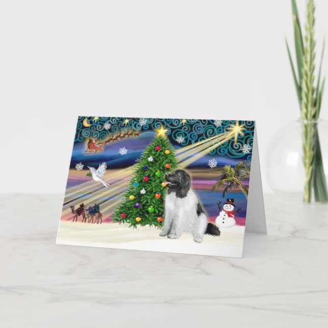 Cartes Pour Fêtes Annuelles Christmas Magic Terre-Neuve (Landseer) (Devant)