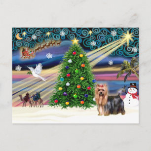 Cartes Pour Fêtes Annuelles Christmas Magic Yorkshire Terrier #9