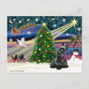 Cartes Pour Fêtes Annuelles Christmas Magtish Scottish Terrier 2B