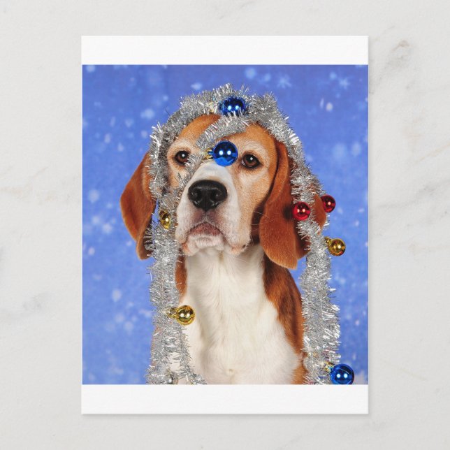 Cartes Pour Fêtes Annuelles Christmas Mishap (Devant)