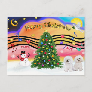 Cartes Pour Fêtes Annuelles Christmas Music 2 - Bichon Frise (deux)