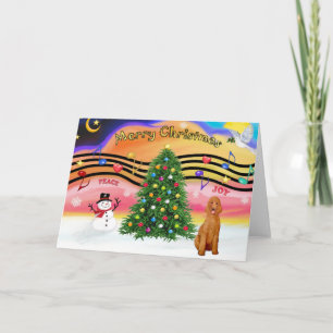 Cartes Pour Fêtes Annuelles Christmas Music 2 - Poodle (apricot Standard)