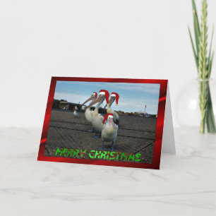 Cartes Pour Fêtes Annuelles Christmas pelican family funny hummor xma