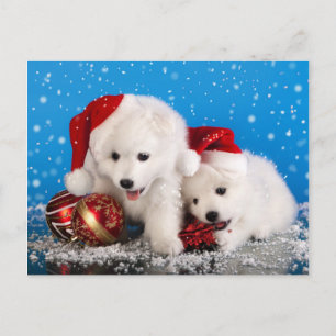 Cartes Pour Fêtes Annuelles Christmas Puppies White Pomeranian Spitz