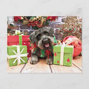 Cartes Pour Fêtes Annuelles Christmas - Schnoodle - Dexter