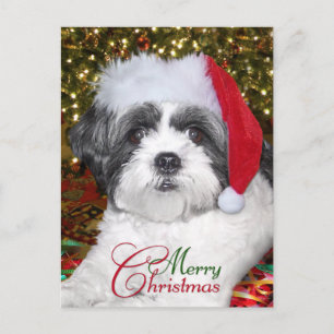 Cartes Pour Fêtes Annuelles Christmas Shih Tzu Dog