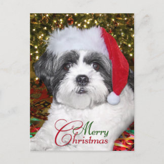 Cartes Pour Fêtes Annuelles Christmas Shih Tzu Dog