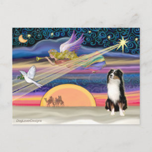 Cartes Pour Fêtes Annuelles Christmas Star - Australian Shepherd (Tri)