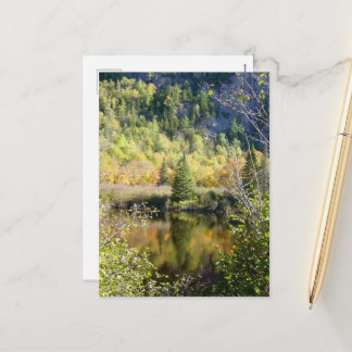 Cartes Pour Fêtes Annuelles Christmas Tree holiday postcard