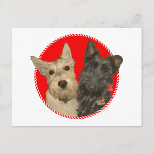 Cartes Pour Fêtes Annuelles Christmas Wheaten & Black Scotties