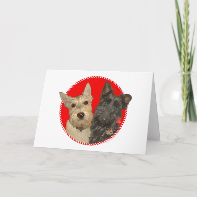 Cartes Pour Fêtes Annuelles Christmas Wheaten & Black Scotties (Devant)