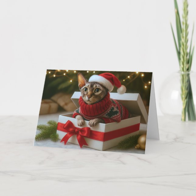 Cartes Pour Fêtes Annuelles Christmas Whiskers & Wrinkles Card (Devant)