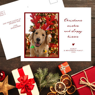 Cartes Pour Fêtes Annuelles Christmas Wings Sloppy Kisses Puppy Dog Pet Photo